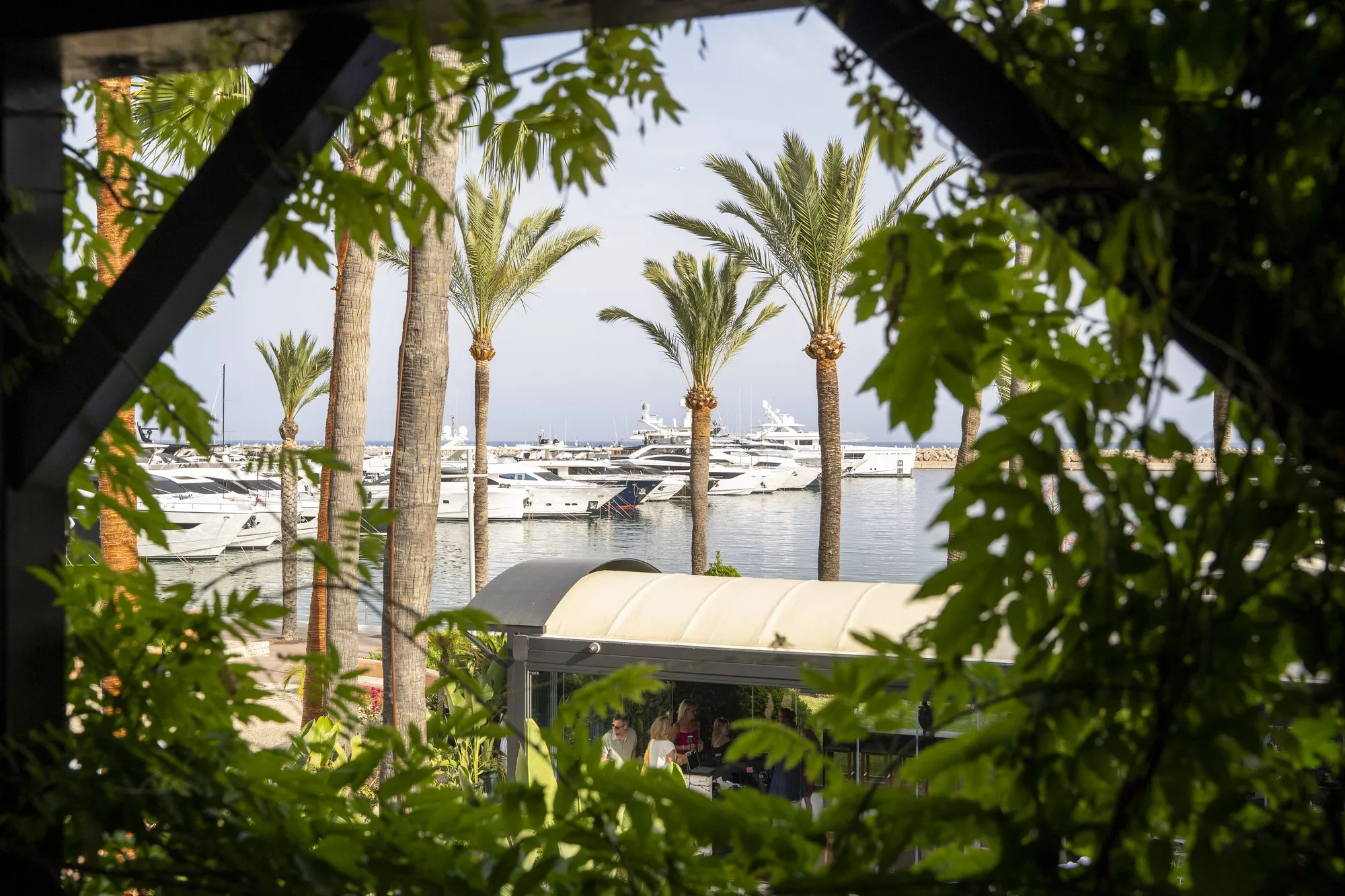 Marina de Puerto Portals, Mallorca — yates amarrados entre palmeras bajo la luz del verano